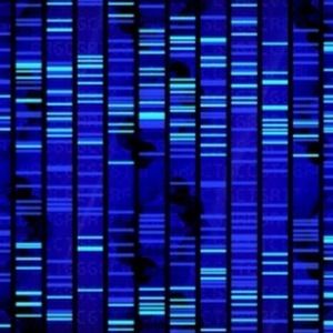 Meet your Posher, Andy